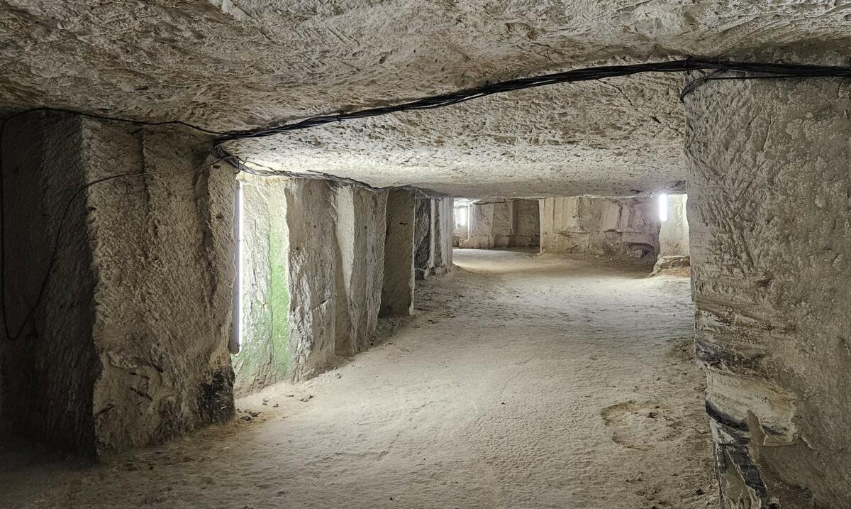 Galerie de la Champignonnière