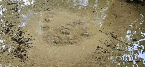 Fonteniles - Les Eaux Bleues